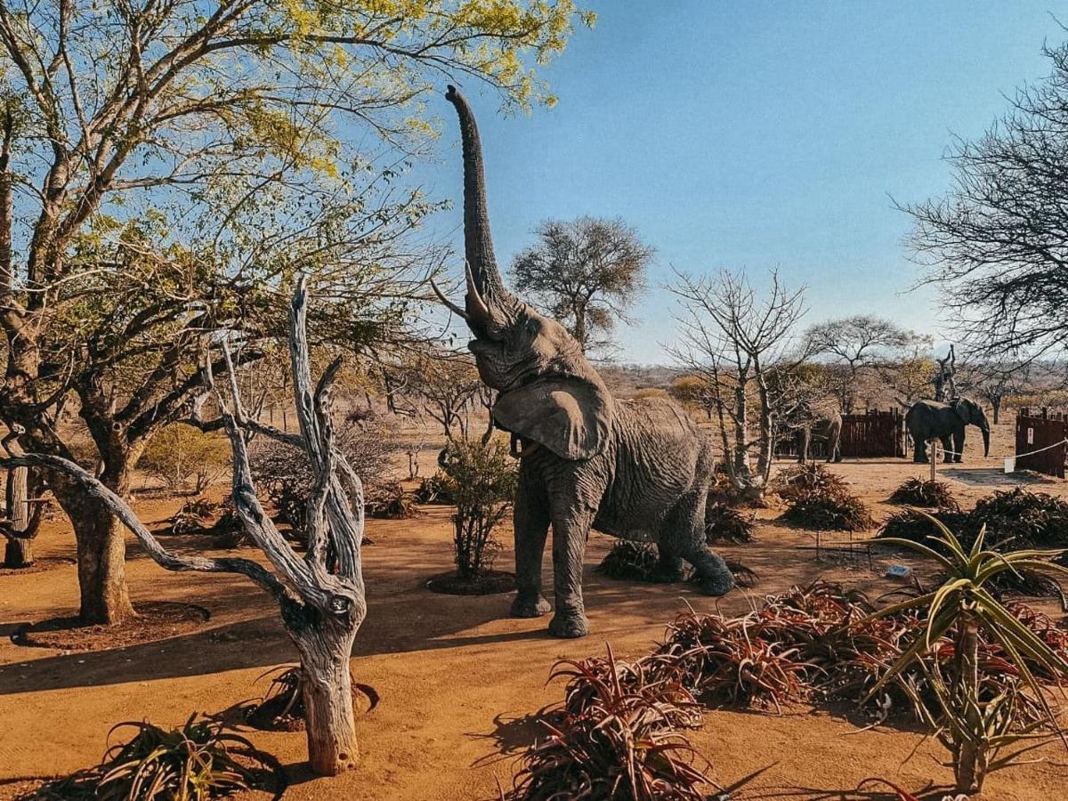 Tshukudu Game Lodge Hoedspruit Exteriér fotografie