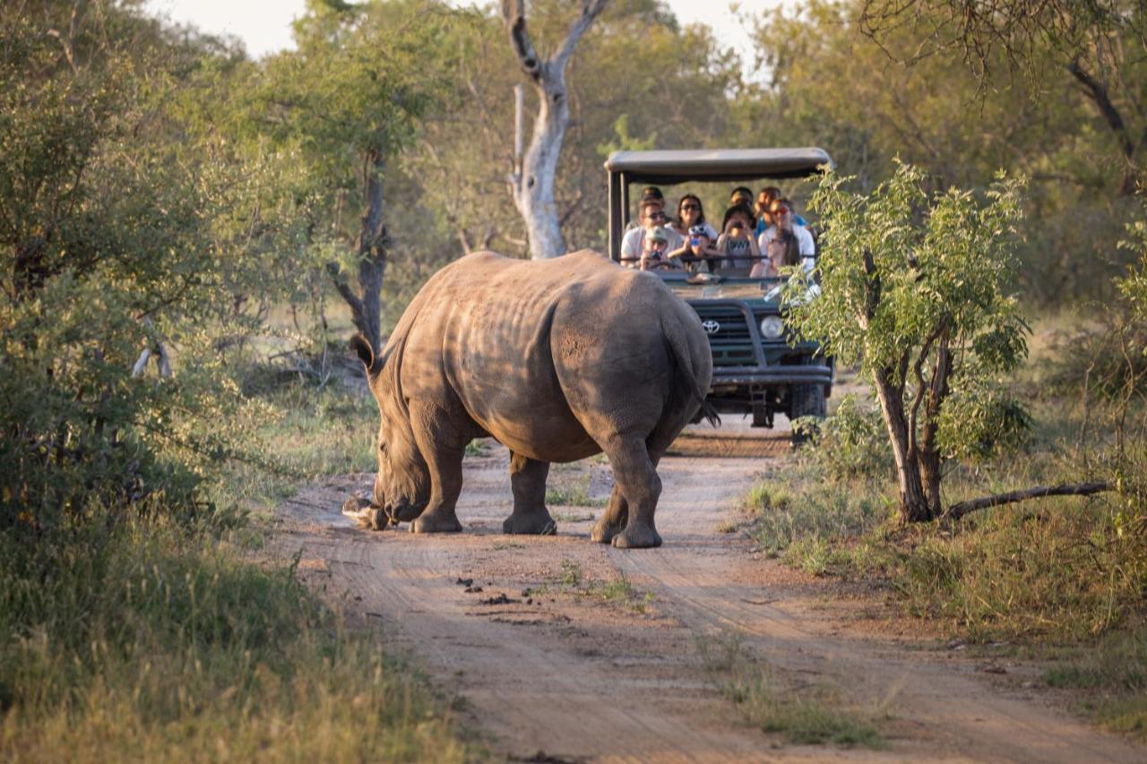 Tshukudu Game Lodge Hoedspruit Exteriér fotografie