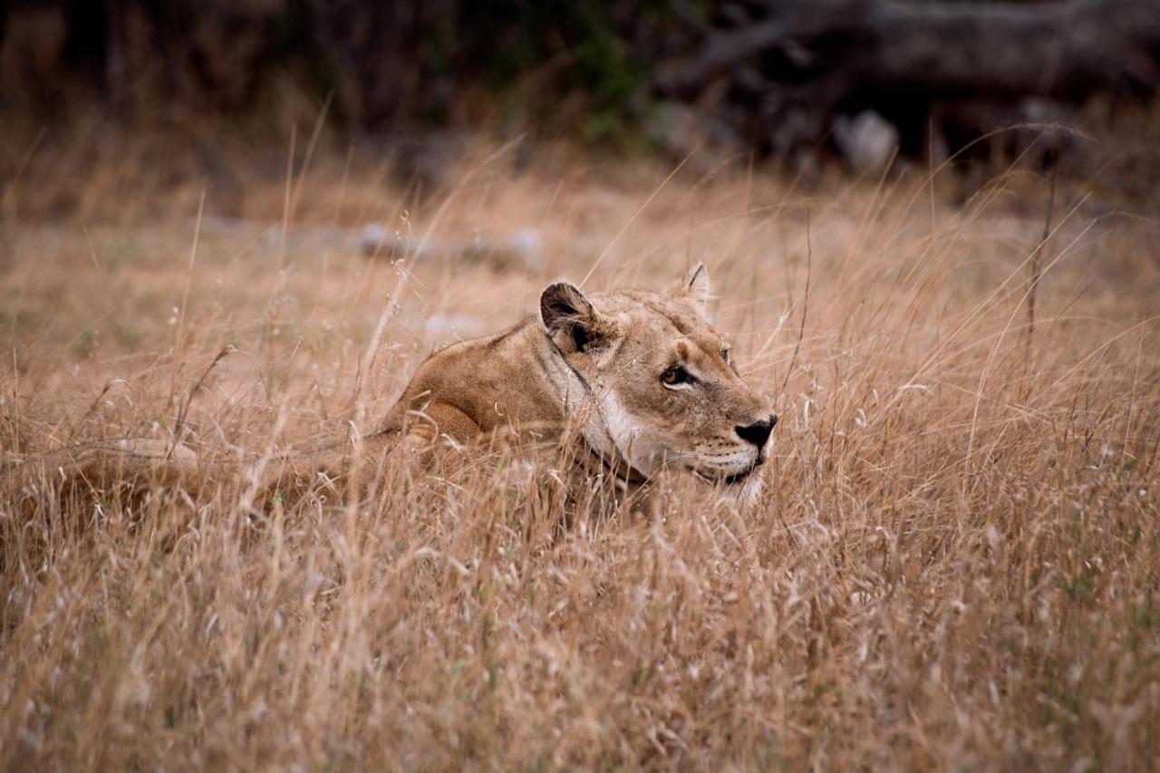 Tshukudu Game Lodge Hoedspruit Exteriér fotografie